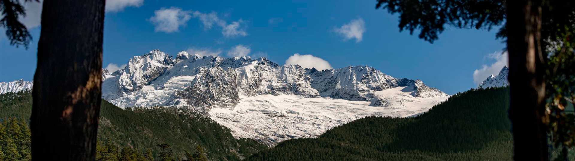 COP26 article - 1920x540